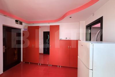 Garsonieră decomandată, mobilată în Brazda lui Novac - 3