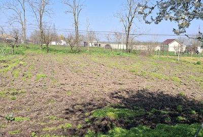 Casă cu Teren 1600 Mp în Ciocârlia - 12