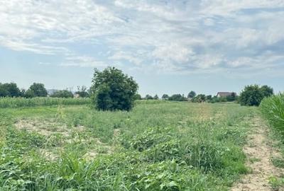 Teren 7.200 mp, de vanzare, loc. Rusi Ciutea, com. Letea Veche, jud. Bacau - 6