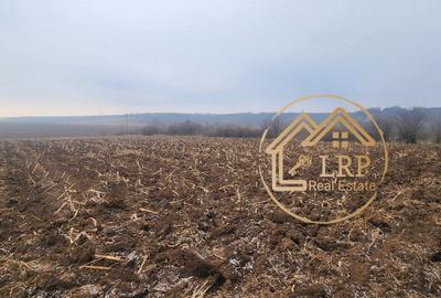 Uzunu Calugareni DN5/E85 -casa, anexe, intravilan 10.488mp, utilitati - 26