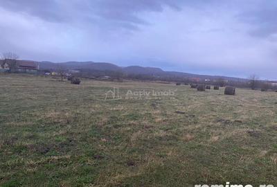 Caransebes, Teren Drept 5087 Mp. Ideal pt Casa 20 Euro Mp. Racovita - 6