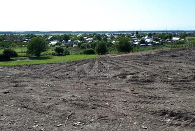 Teren de 7000 mp, în Curtișoara - 5