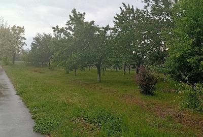 Casă cu Teren 2503 Mp în Central