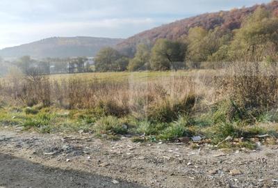 Teren de 1850 mp, în Feleacu - 4