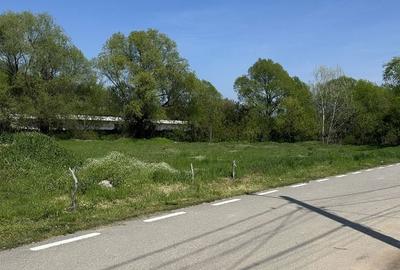 Spațiu comercial, în Leamna de Sus - 4