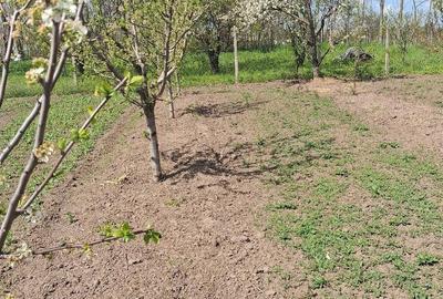 Teren de 1500 mp, în Rasa - 2