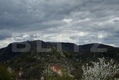 Vand casa cu 1 ha de livada in Carmazanesti - 2