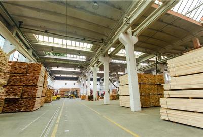 Complex Industrial strategic ?n Miercurea Sibiului,hale si 3,1 ha teren - 14