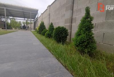 Duplex 5 camere, mobilat - utilat, Timisoara - Zona Lipovei - 4