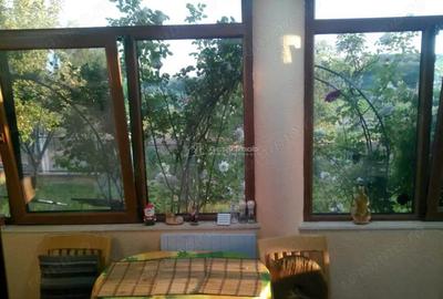 Casa pe malul lacului Paleu teren 510 mp - priveliste deosebita - 5