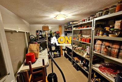 Casa tip triplex ( capat ), 4 camere, P+M, curte amenajata, Bărăbanț - 21