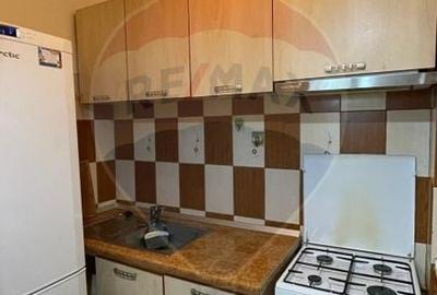 Apartament cu 1 camera de inchiriat in zona Brazda lui Novac - 5