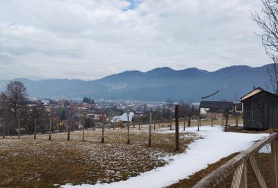 Teren Construcții intravilan de 1598 mp, în Câmpulung Moldovenesc - 1