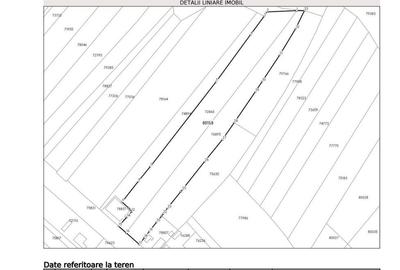 Teren de 9654 mp, în Dobra - 9