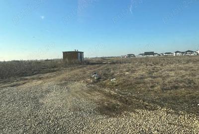 Vanzare Teren Intravilan Magurele 10000mp - 1