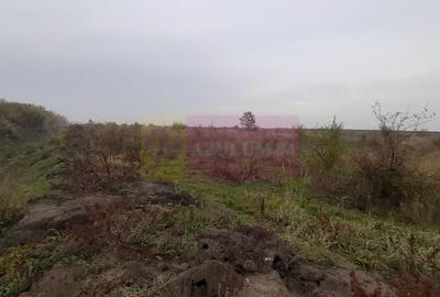 Teren agricol extravilan de 5000 mp, în Corbeanca - 10