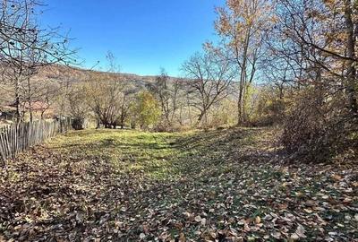 Teren 4044mp, 18 km de Campina, asfalt, utilitati, pretabil investitie - 2