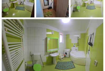 2 camere, în vila, la curte, centrala, parcare, pet friendly, metrou Gorjului, - 30