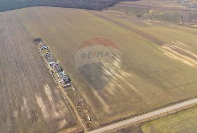 Teren agricol extravilan de 13500 mp, în Voinești - 7