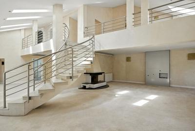 Vila cu arhitectura deosebita, adiacent Bd-ului Lascar Catargiu, RENOVATA - 8