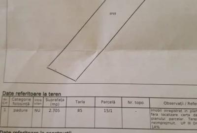 Vand teren extravilan(padure) - 1