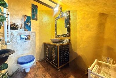 Spre Vânzare Proprietate remarcabilă cu 6 camere în inima Iașului ! - 11