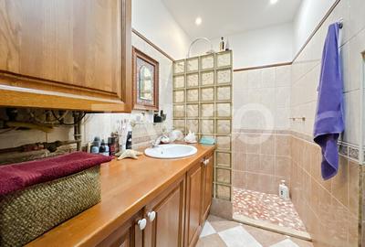 Apartament de vanzare cu 3 camere si curte la vila in Andrei Muresanu - 8