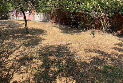 Casa cu teren in Fratelia . - 4