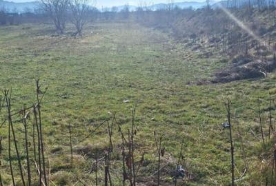 Oportunitate investi?ie | Teren 2400 mp Darmane?ti, - 2