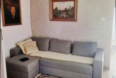 Casa de vanzare in Comuna Radesti,Sat Mescreac jud.Alba - 4