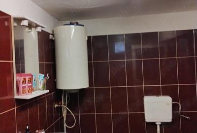 Casă cu 2 camere cu Teren 1200 Mp în Brestovăț - 5
