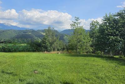 Spațiu comercial, în Cheia - 2