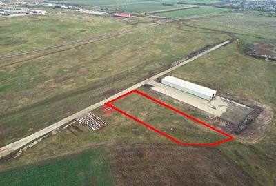 Teren Industrial Zona Centura Nord - 5