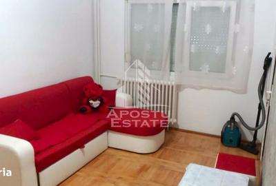 Garsonieră în Micălaca - 1