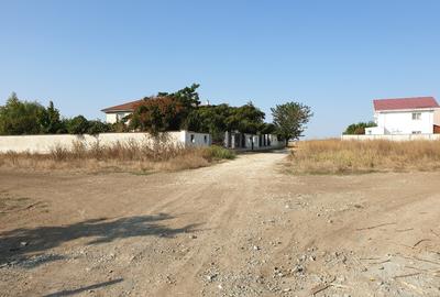 Teren Techirghiol - 5