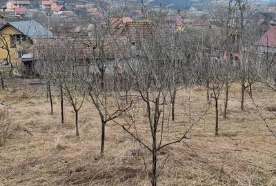 Casă cu Teren 1400 Mp în Tău - 3