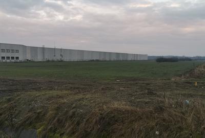 Vand teren industrial Ghiroda 18866 mp 943000 euro - 8