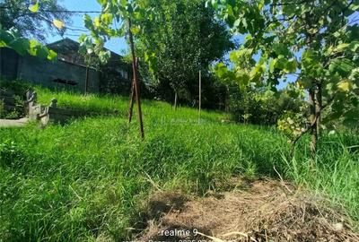 Casă cu Teren 300 Mp în Muncitoresc - 10
