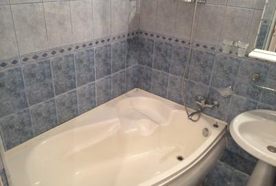 Dristor 2 camere cu parcare - pet friendly - 8