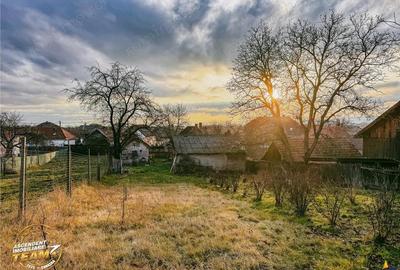FILM! Gospodarie cu atmosfera traditionala,1.032 mp de verde si gradinarit, Sanzaieni, Covasna - 14