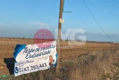 Teren Construcții intravilan de 22485 mp, în Ulmi