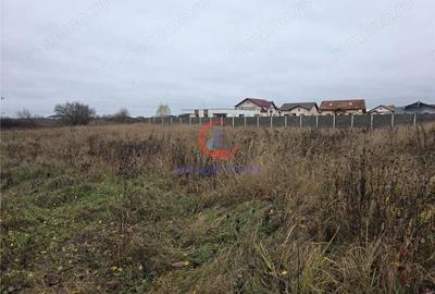 Teren de 759 mp, în Albina - 1