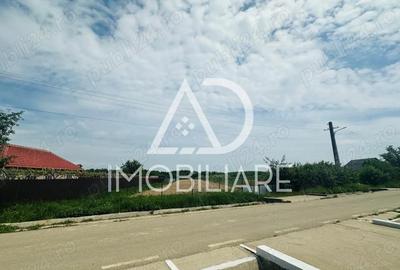 Teren de 5238 mp, în Dănești - 6