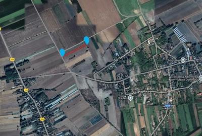 Teren de 53211 mp, în Merii Petchii - 4