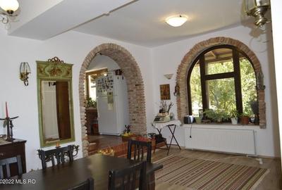 Topoloveni - Conacul Ion Mihalache, Domeniu pe 5 Hectare - 21