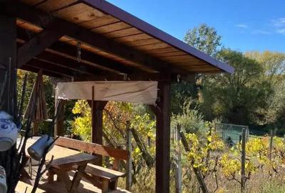 Casă cu 2 camere cu Teren 1100 Mp în Biharia - 17