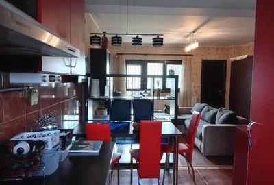 Vila Tunari, cartierul Scriitorilor, mobilata si utilata cu materiale premium - 3