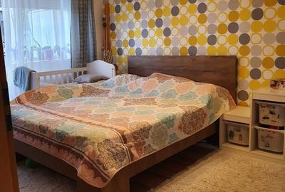 Apartament cu 2 camere semidecomandat în Dosu Bricii - 8