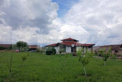 Casa superba in Tinca, 225 mp, 20 ari luciu de apa, teren fotbal, spatii verzi - 3