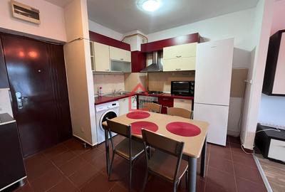 Apartament cu 2 camere semidecomandat, mobilat în Tătărași - 2